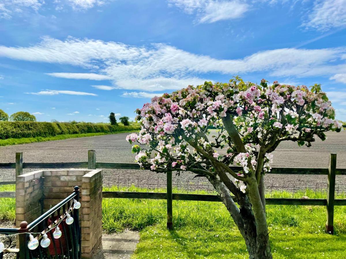 The Cottage York Esterno foto